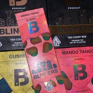 2G Blinker Disposable Vape – Extended Duration